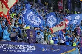 阿根廷中锋帕尼切利因伤无缘2026世界杯法甲射手榜第一